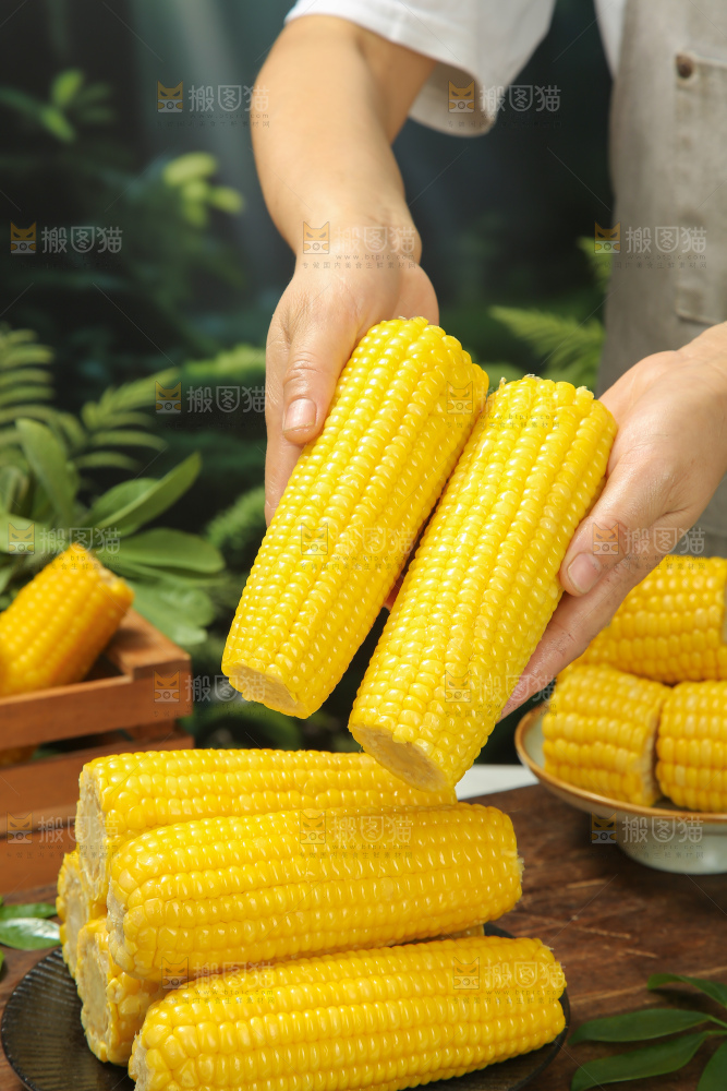 黄糯玉米