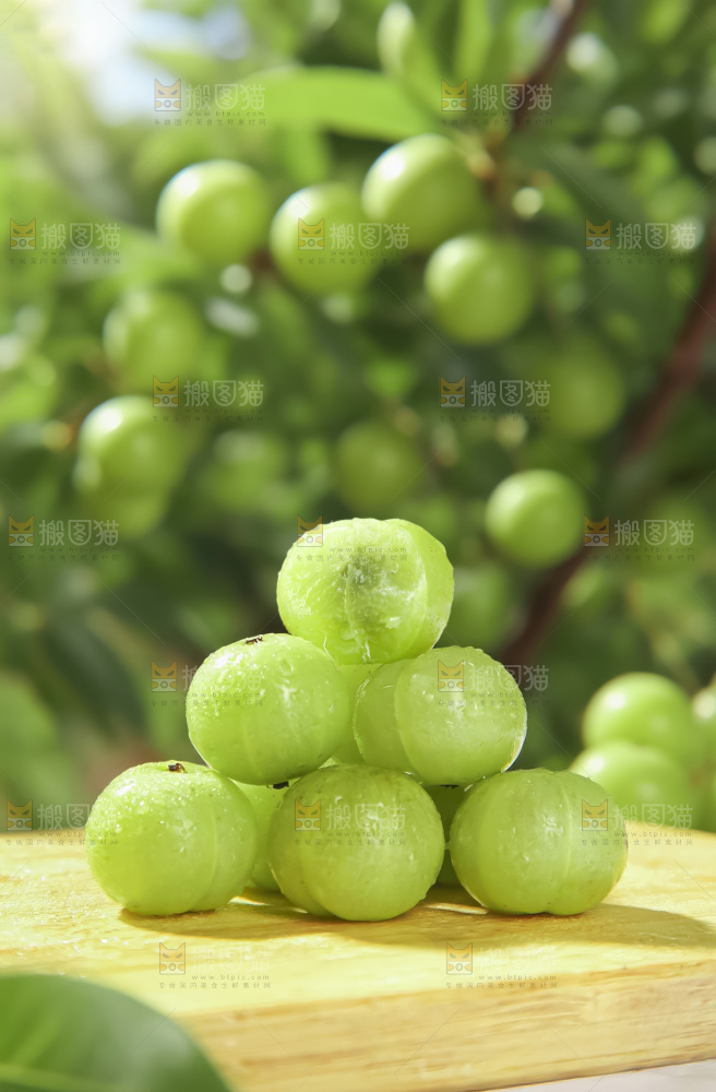 油甘果