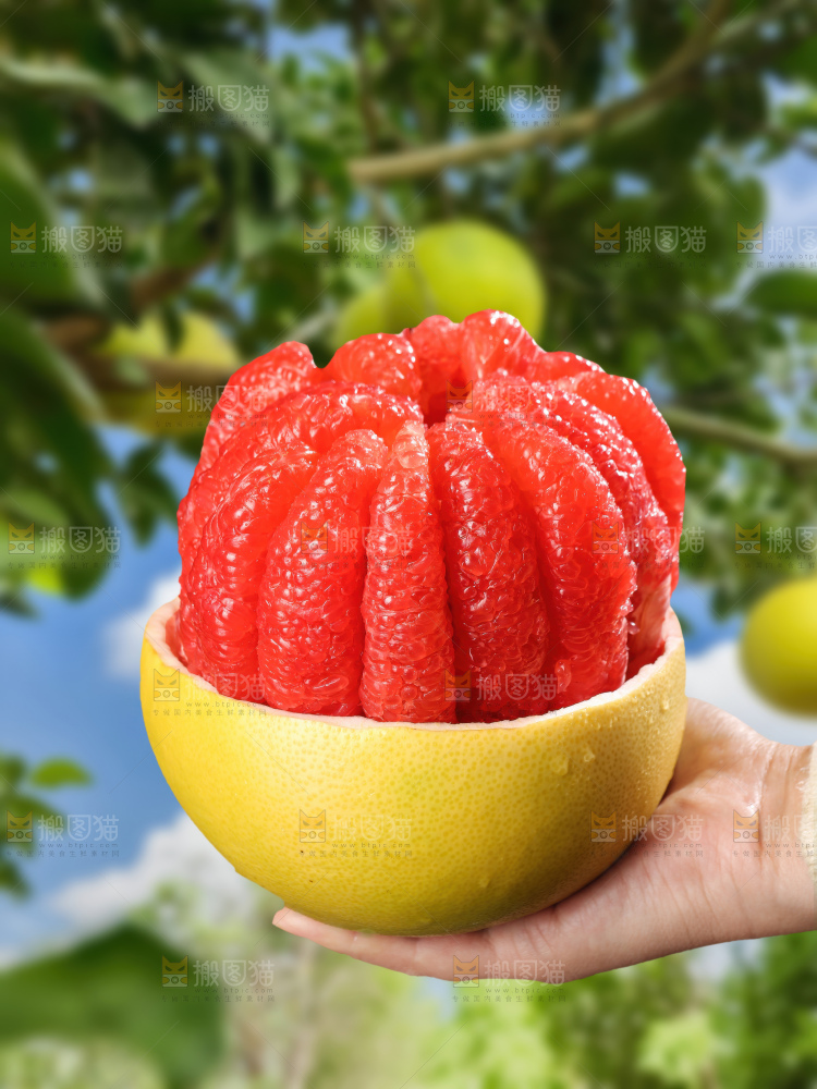 红心蜜柚