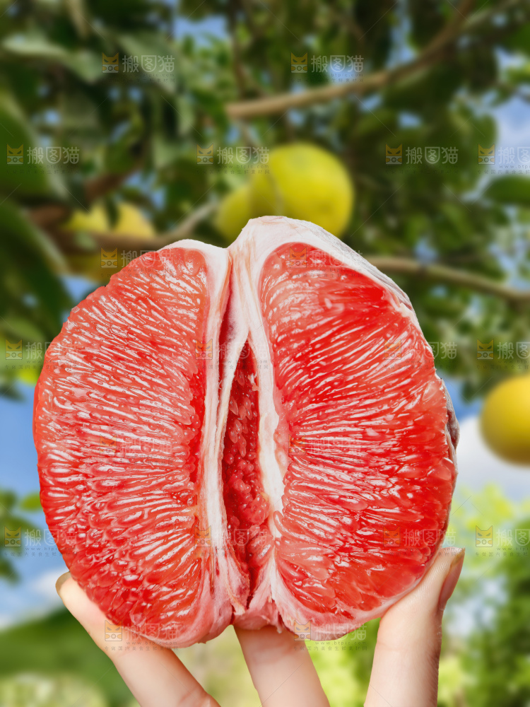 红心蜜柚