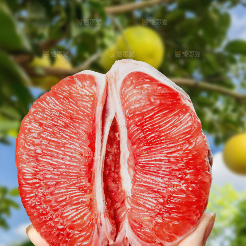 红心蜜柚