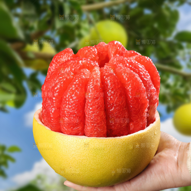 红心蜜柚