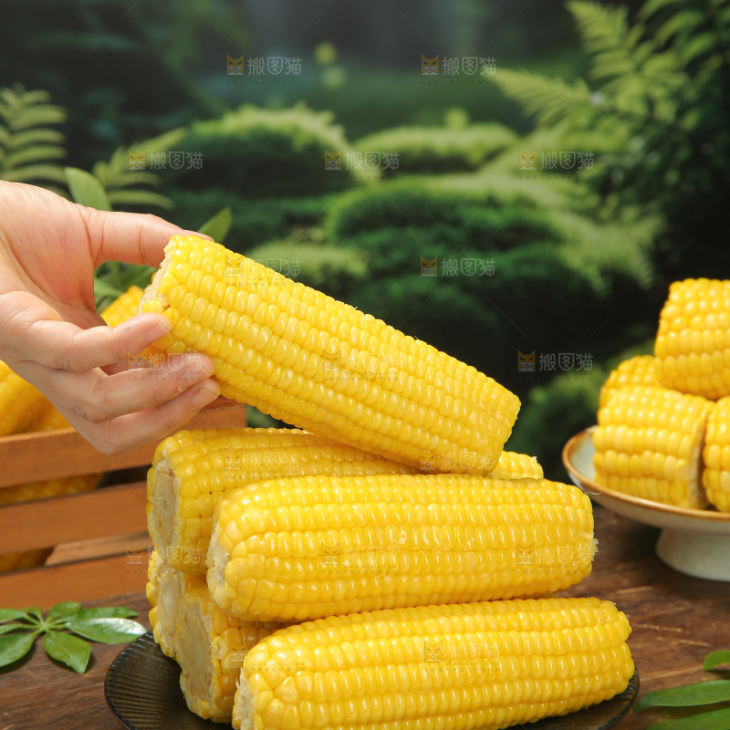 黄糯玉米