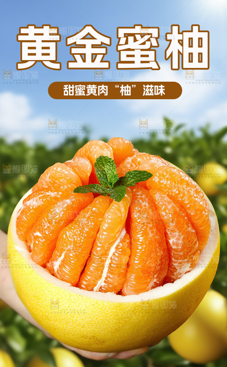 黄金蜜柚详情页