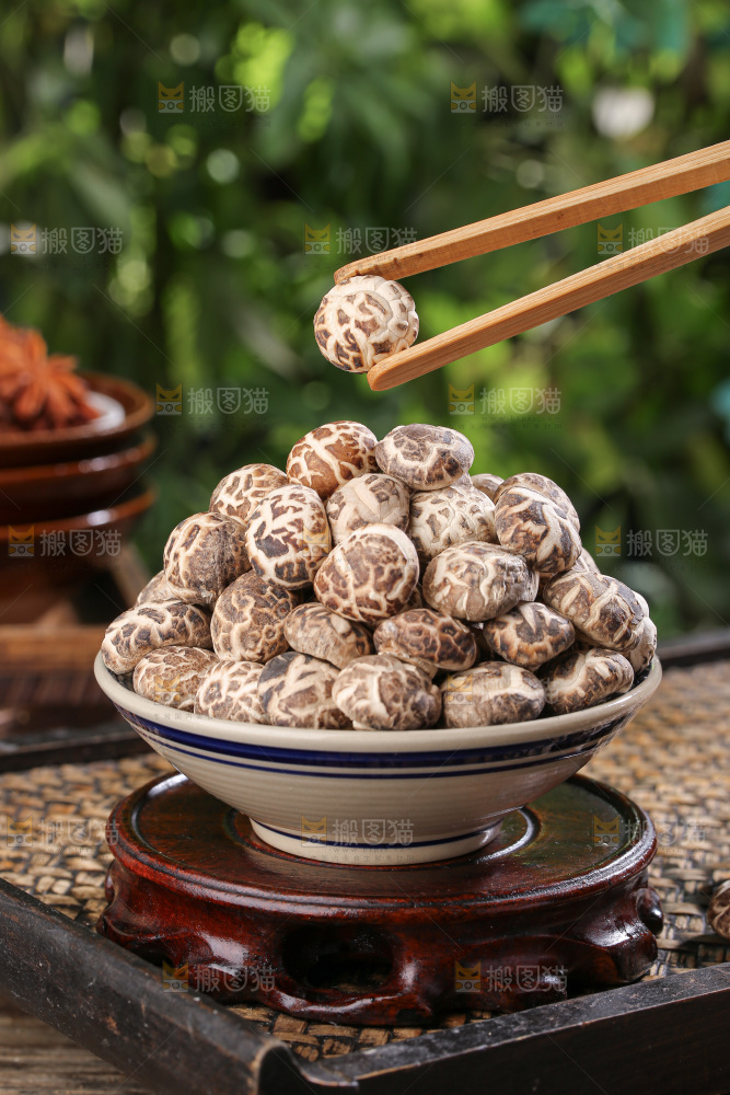 小花菇