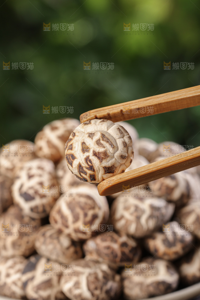 小花菇