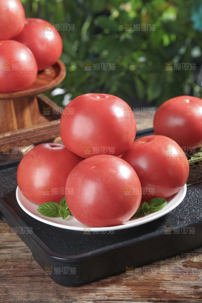 普罗旺斯西红柿