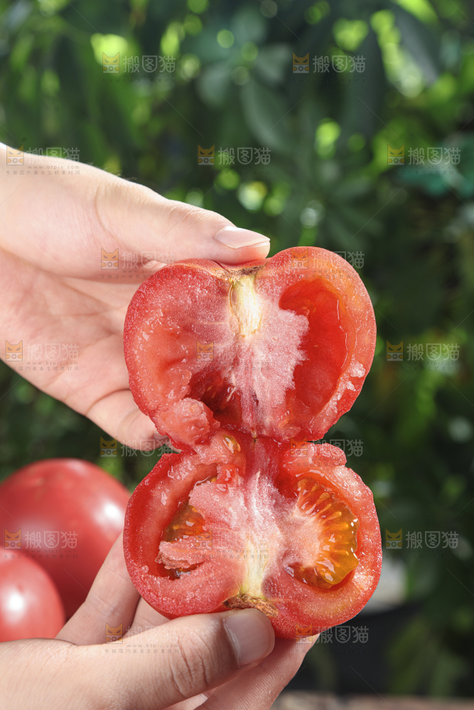 普罗旺斯西红柿