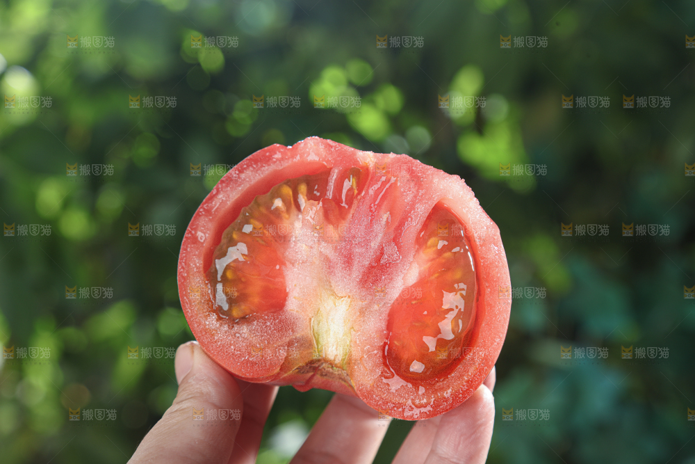 普罗旺斯西红柿
