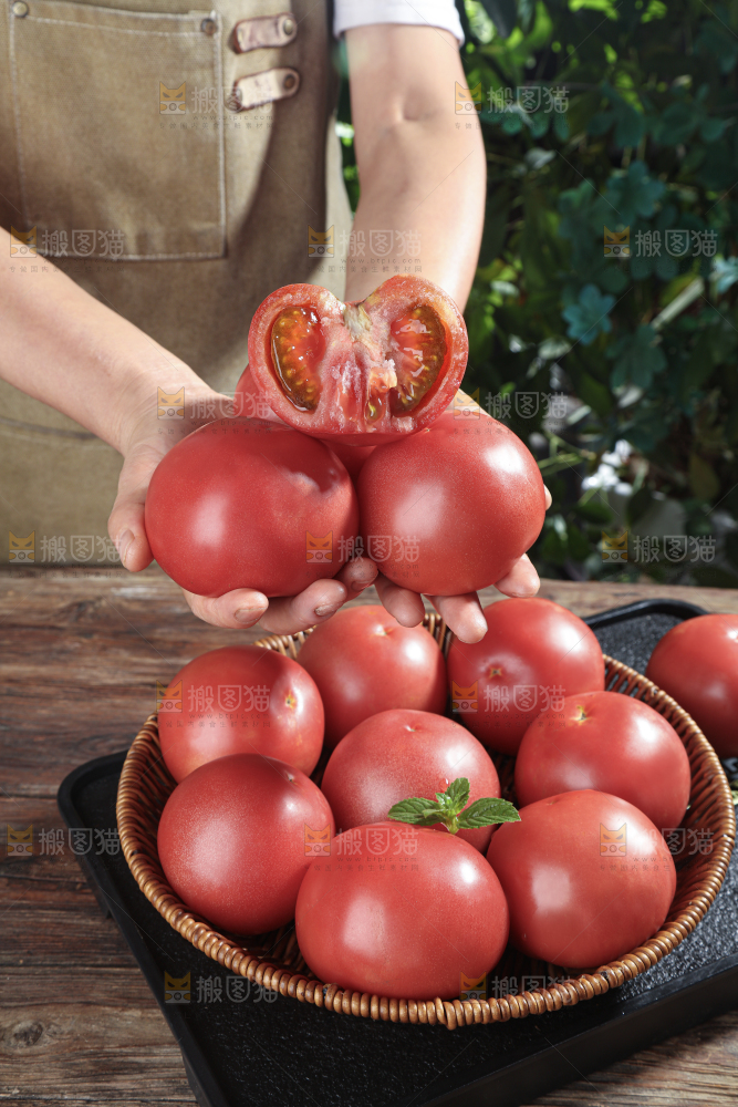 普罗旺斯西红柿