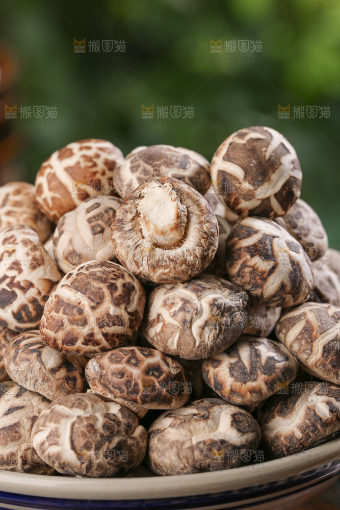 小花菇