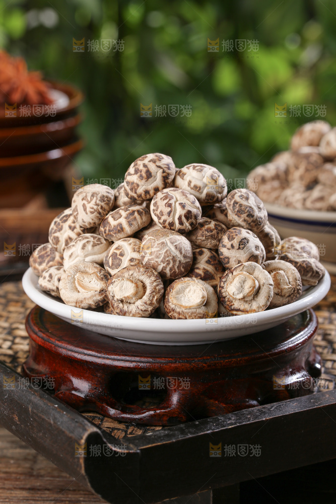 小花菇