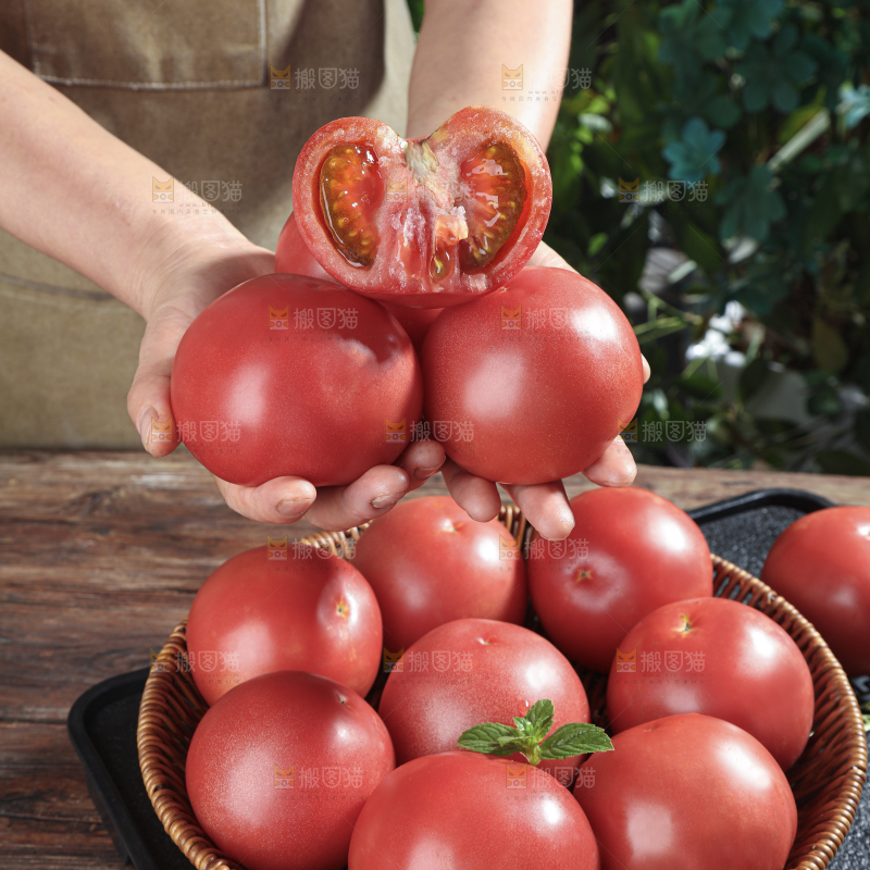 普罗旺斯西红柿