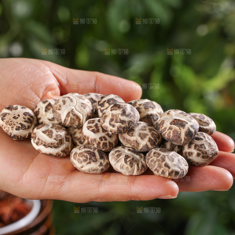 小花菇