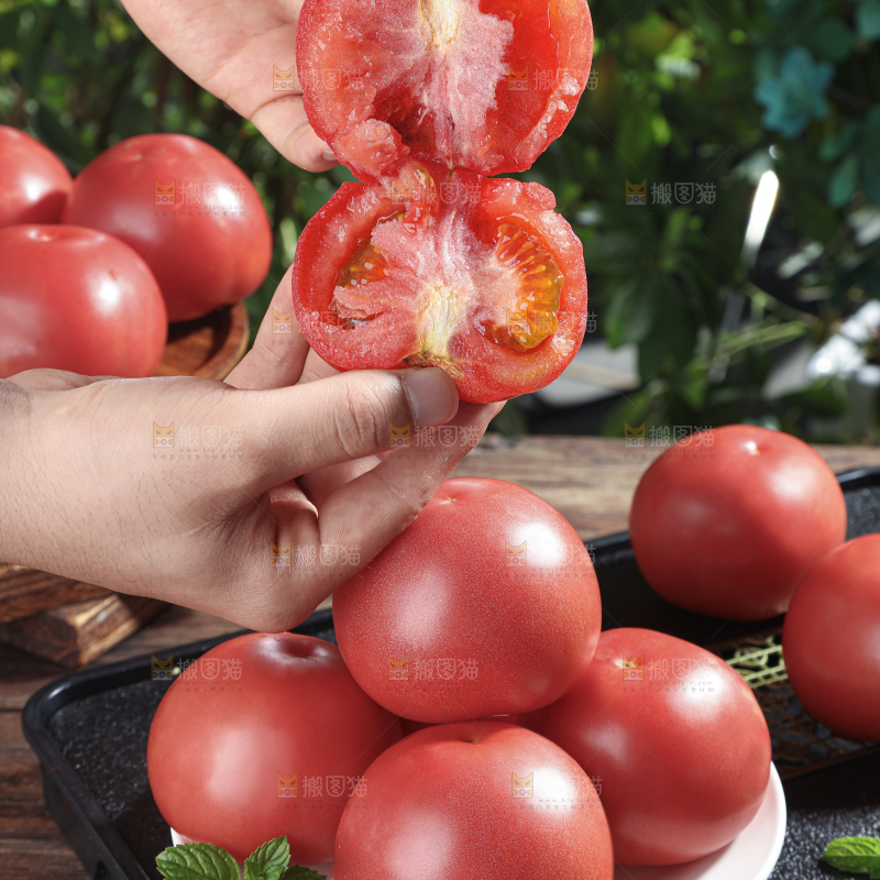 普罗旺斯西红柿