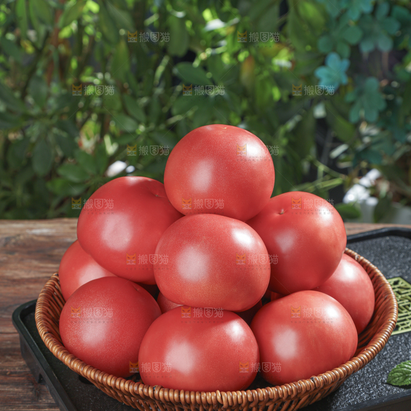 普罗旺斯西红柿