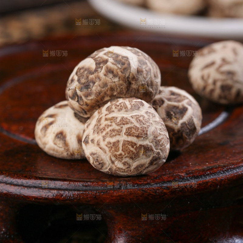 小花菇