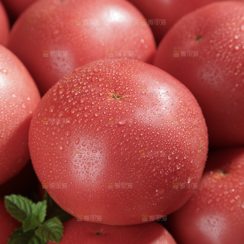 普罗旺斯西红柿