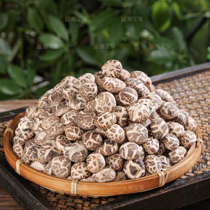 小花菇