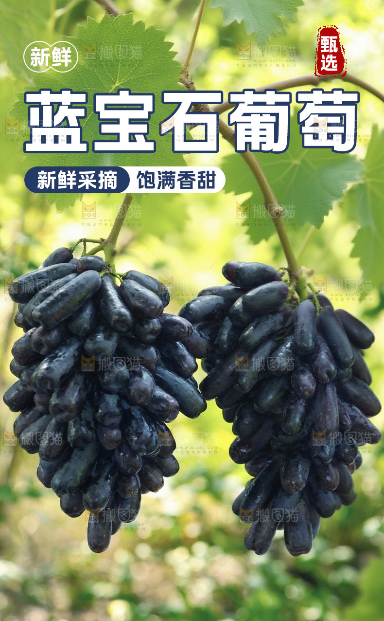 蓝宝石葡萄详情页