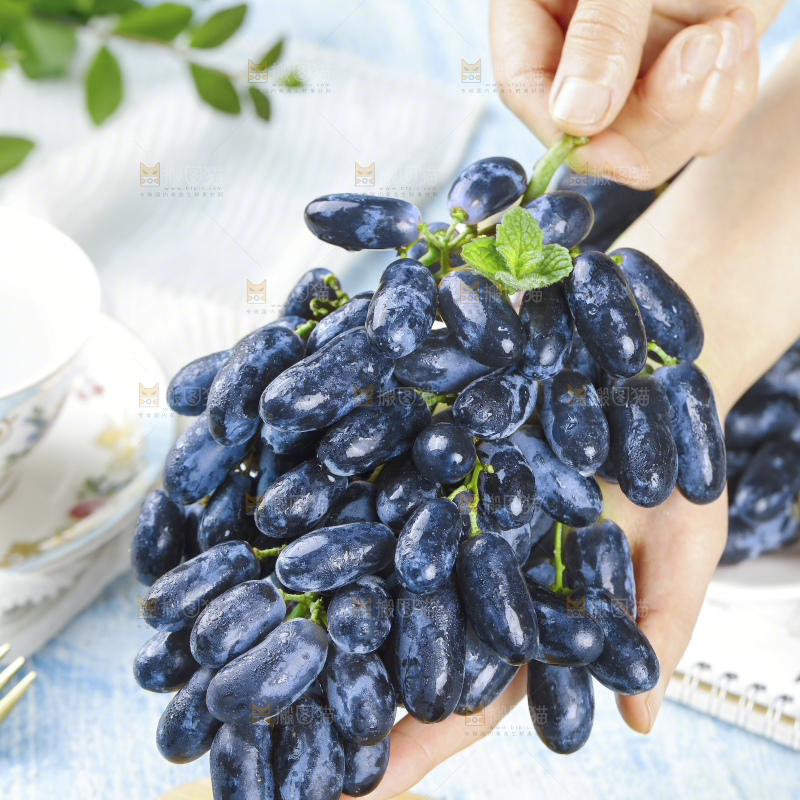 蓝宝石葡萄