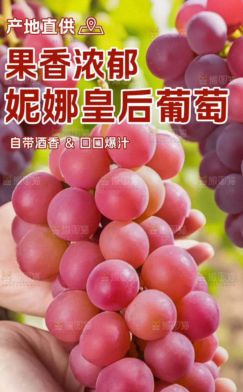 妮娜皇后葡萄详情页
