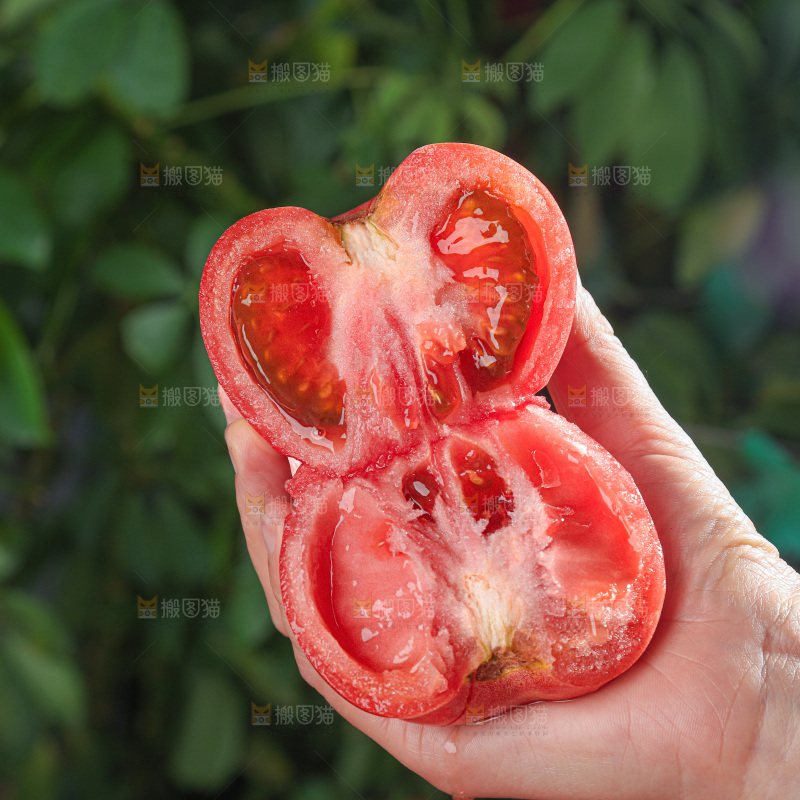 普罗旺斯西红柿