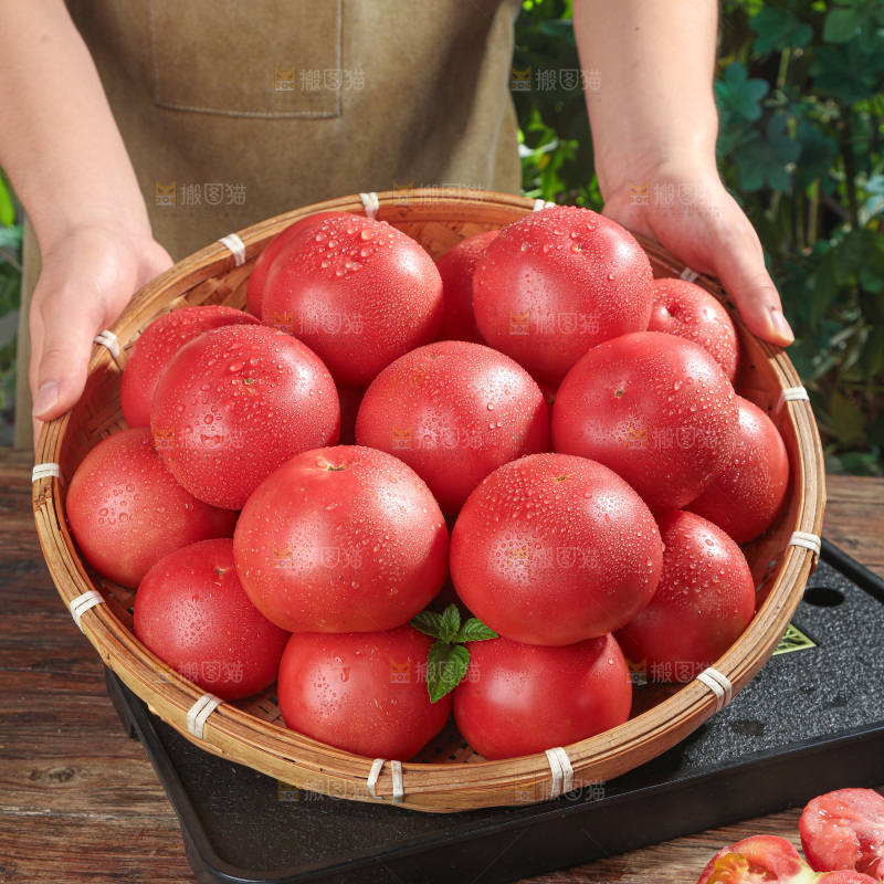 普罗旺斯西红柿