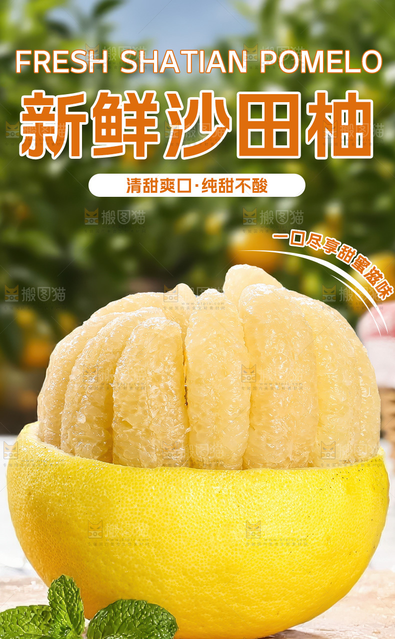 沙田柚详情页