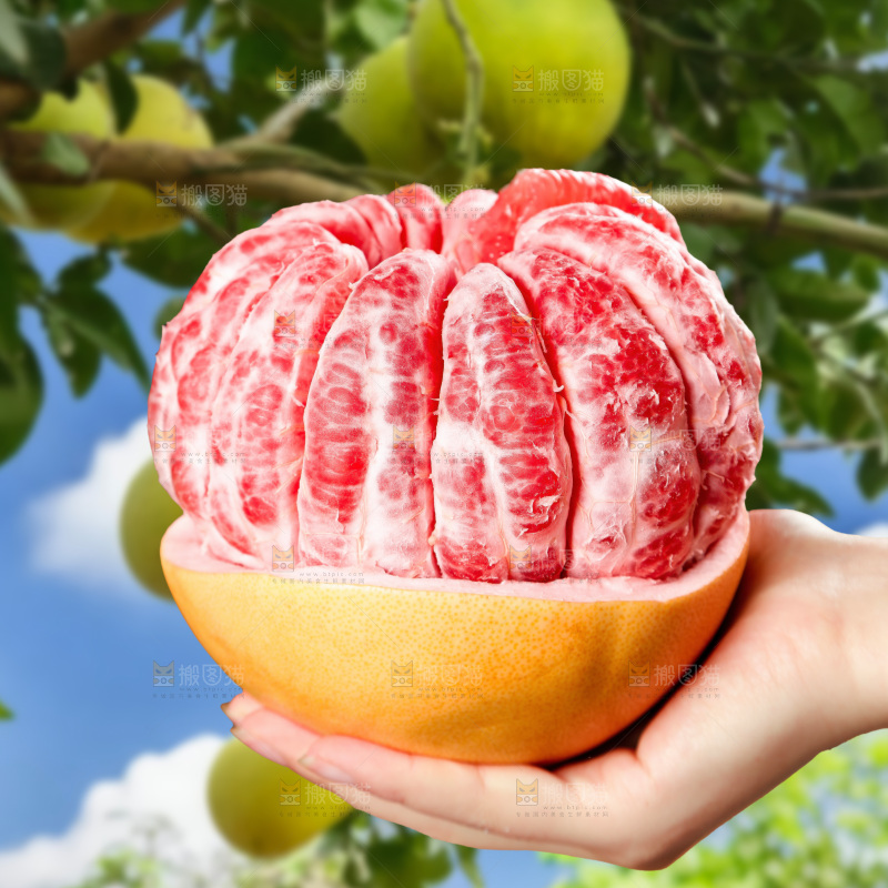 红心蜜柚