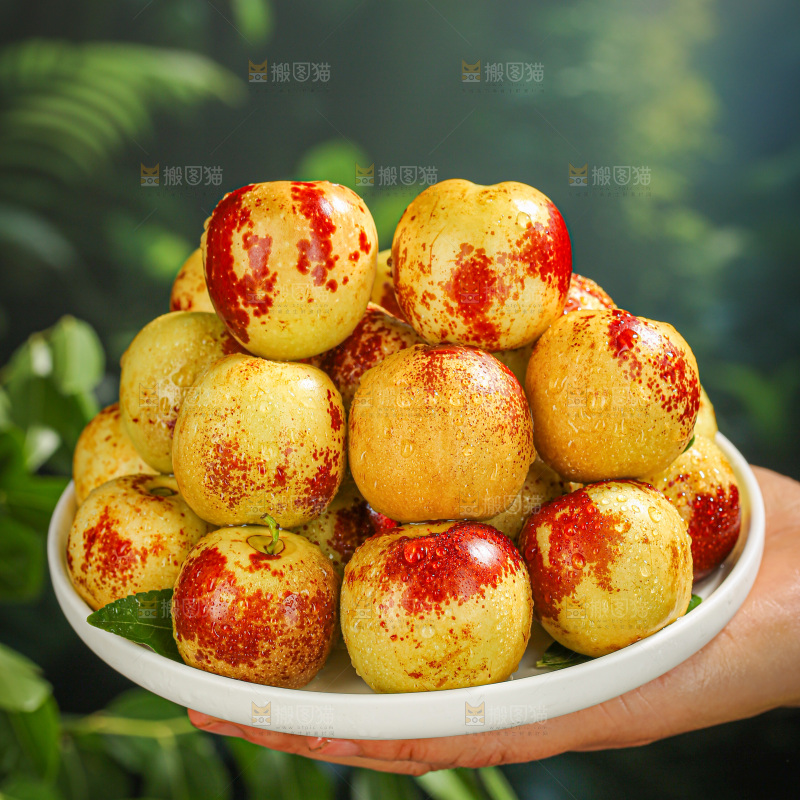 冬枣