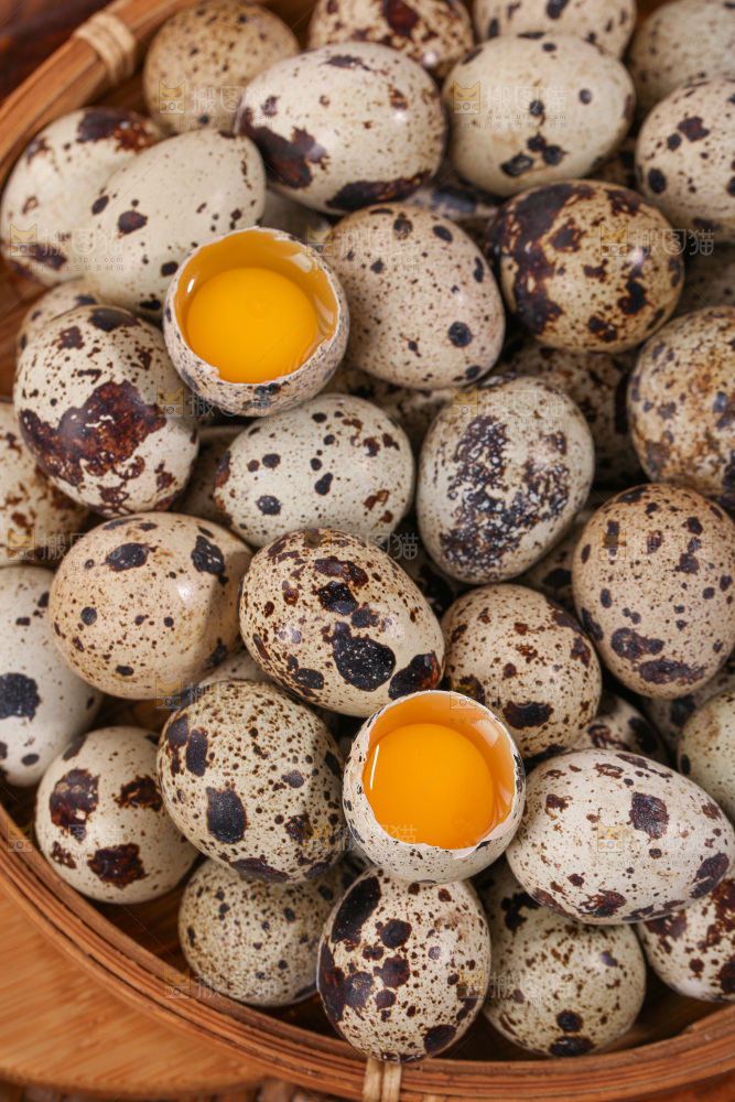 鹌鹑蛋