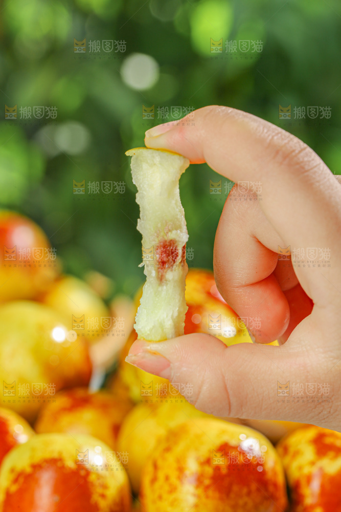 冬枣