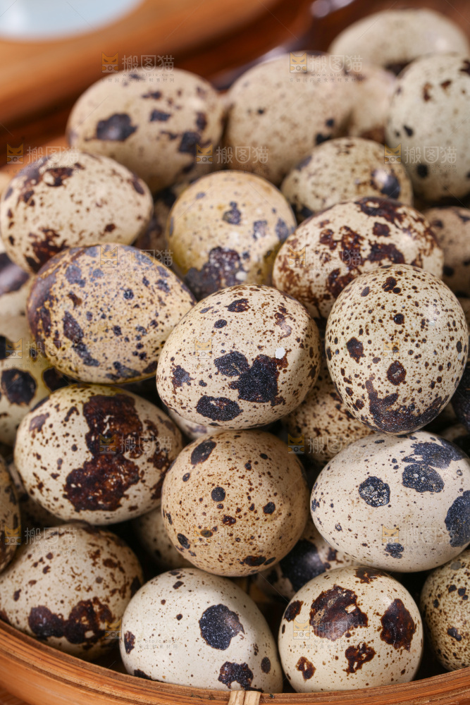 鹌鹑蛋