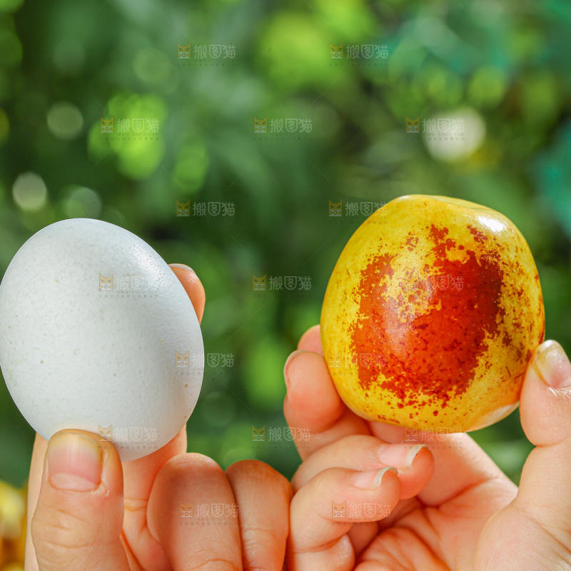 冬枣