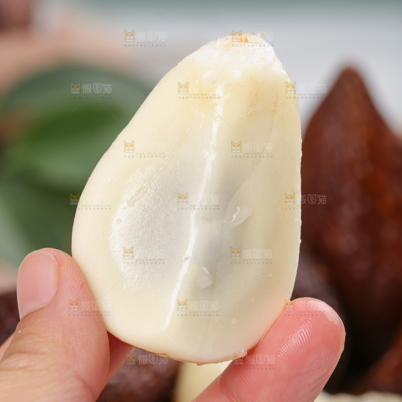 蛇皮果