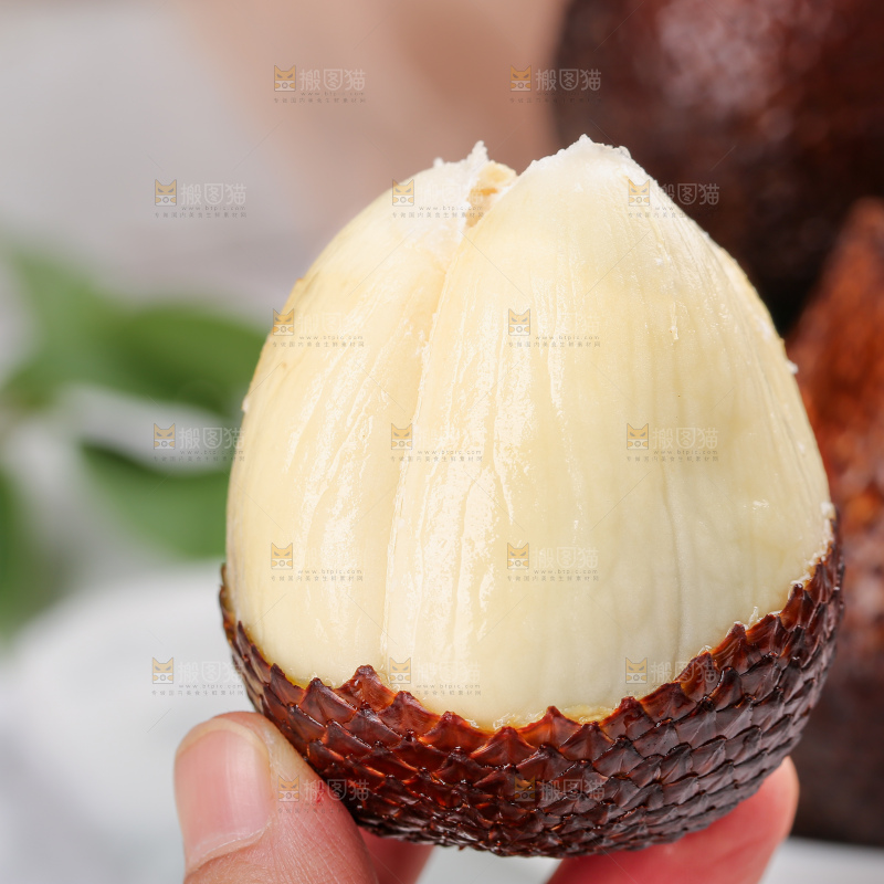 蛇皮果