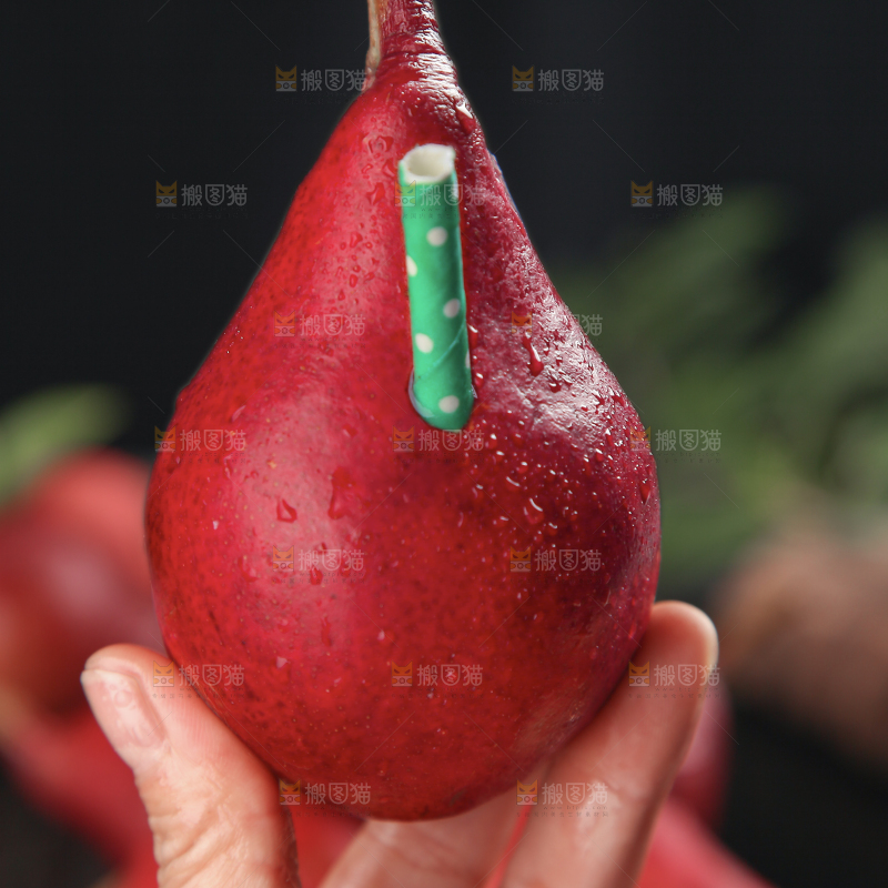 红啤梨