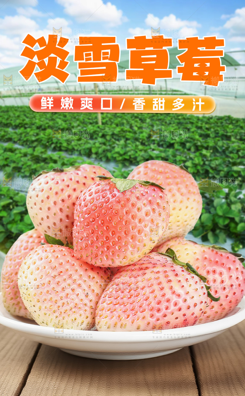 淡雪草莓详情页