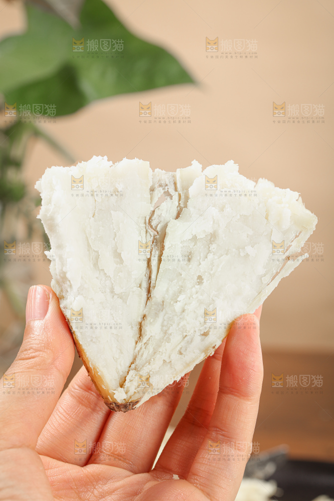 人参薯
