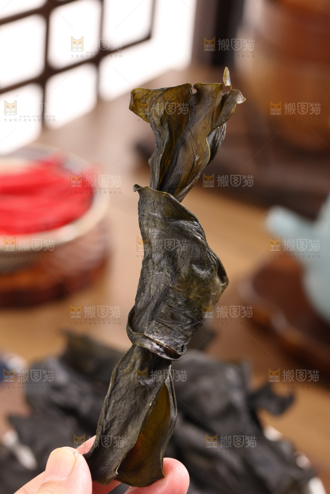 海带结