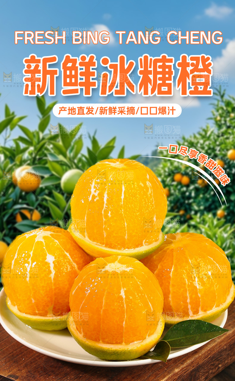 冰糖橙详情页