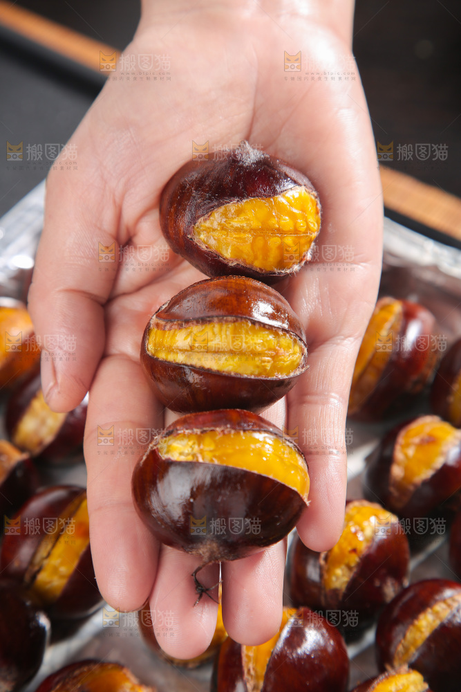 板栗