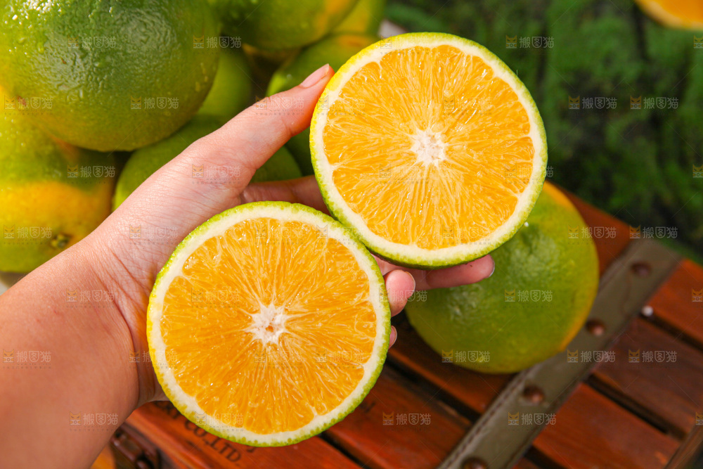 冰糖橙
