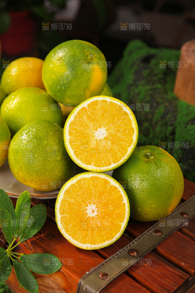 冰糖橙