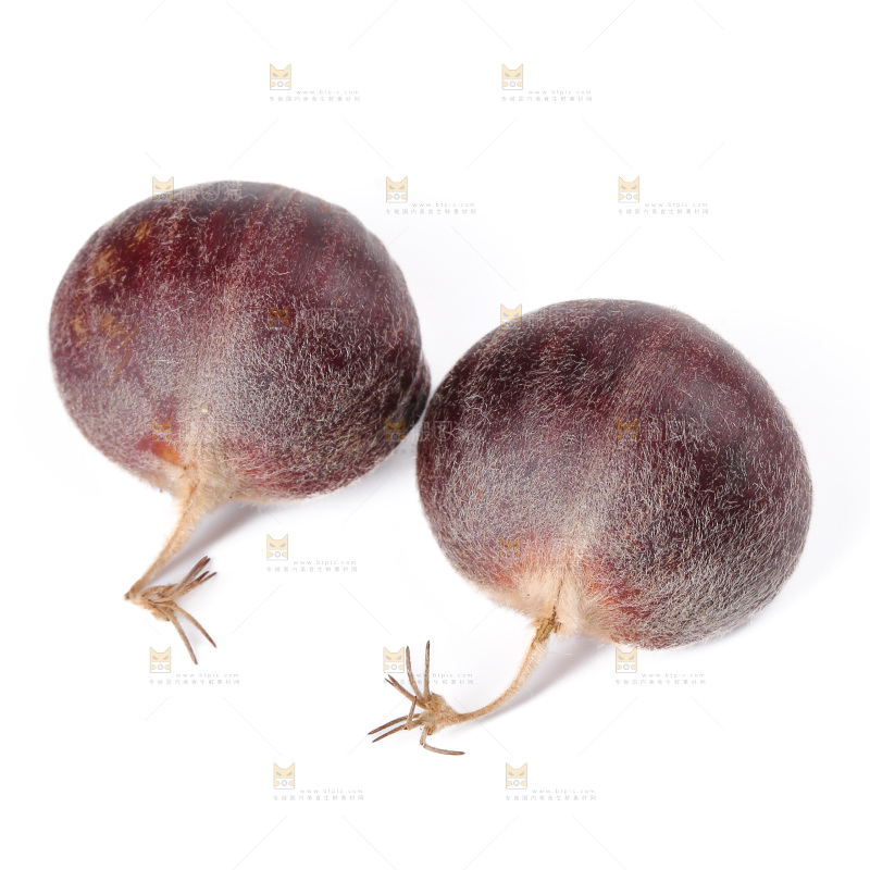 板栗