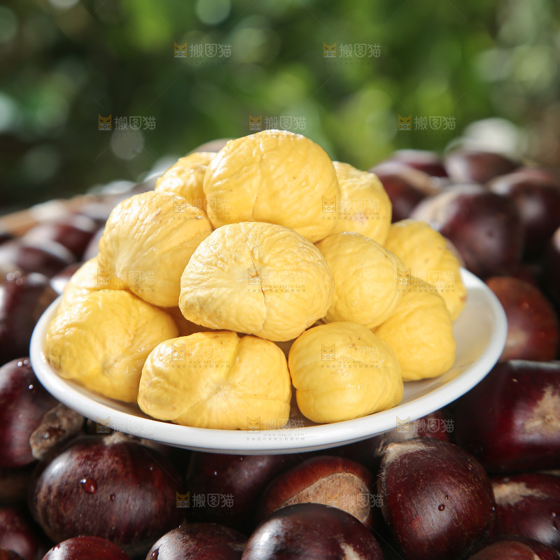 板栗