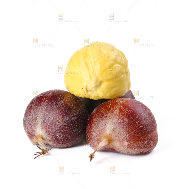 板栗