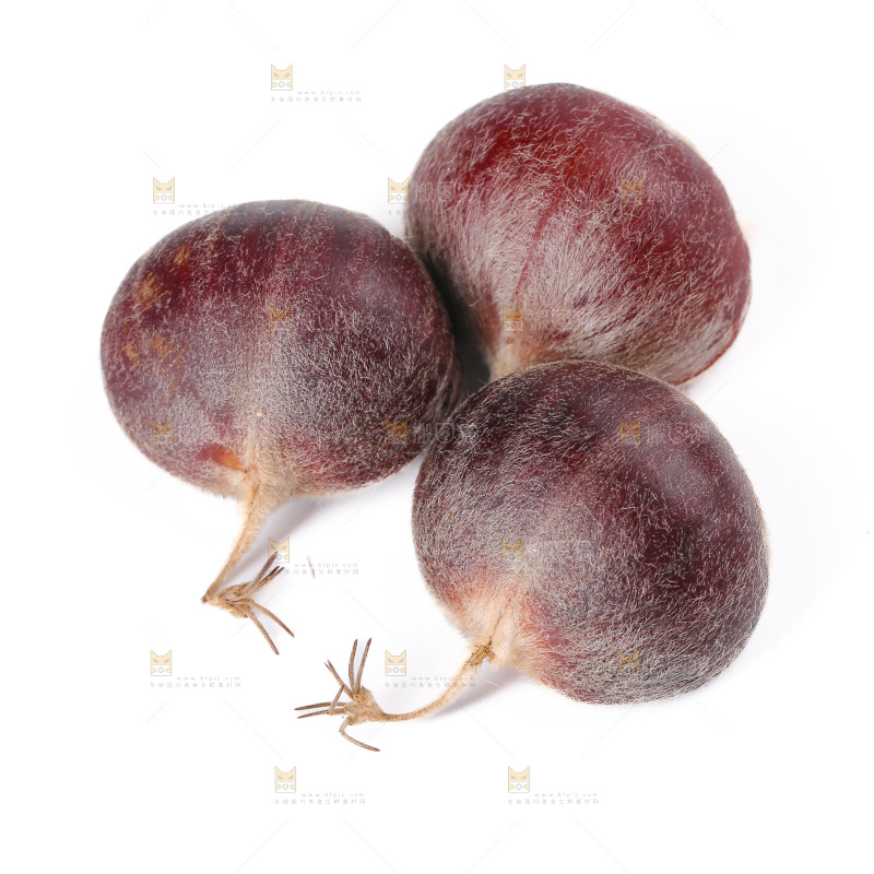 板栗