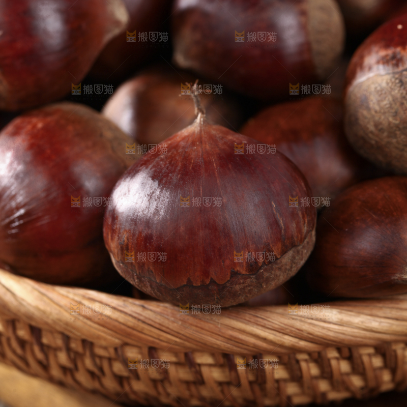 板栗